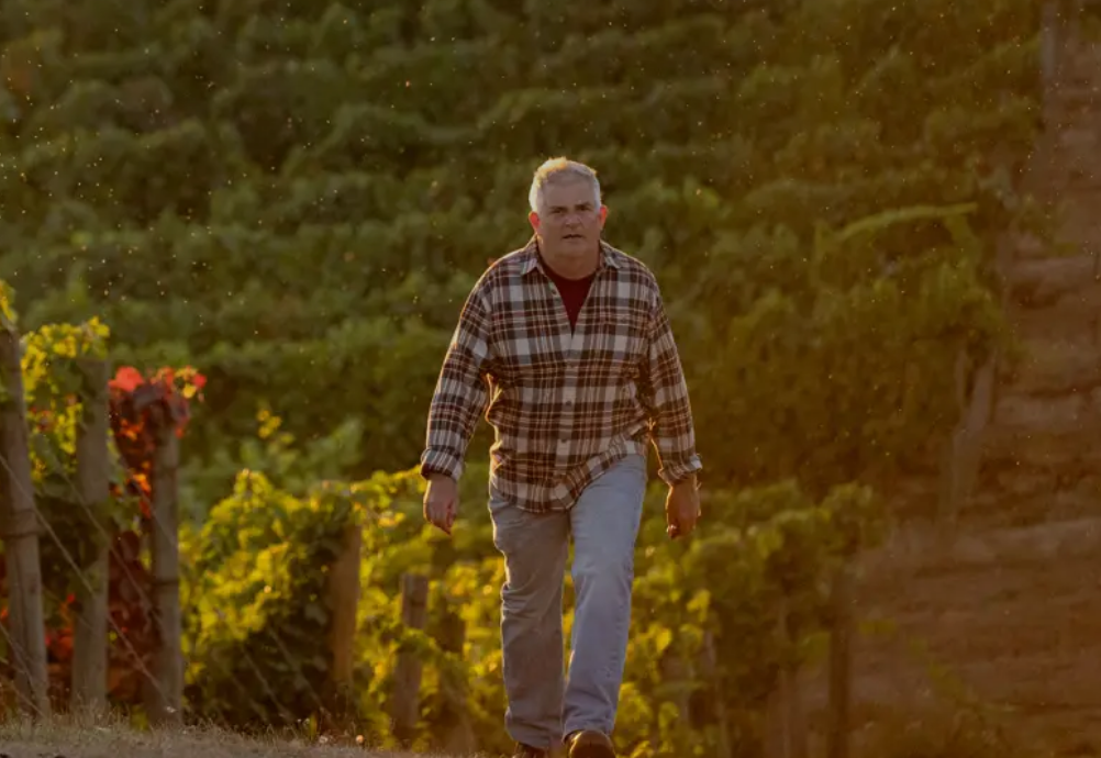 Stephen Goff Wines