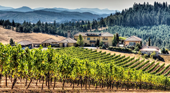 Iris Vineyards