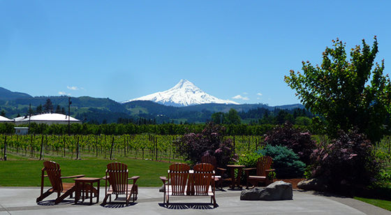 Mt. Hood Winery